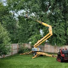  , USA Tree Removal Pros